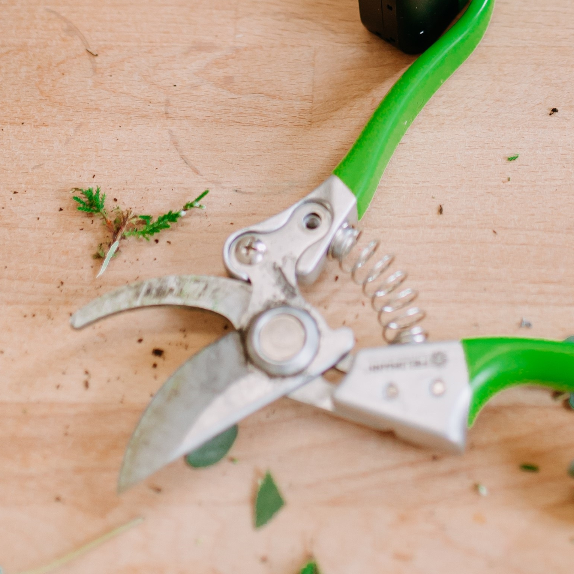 Techniky aranžování